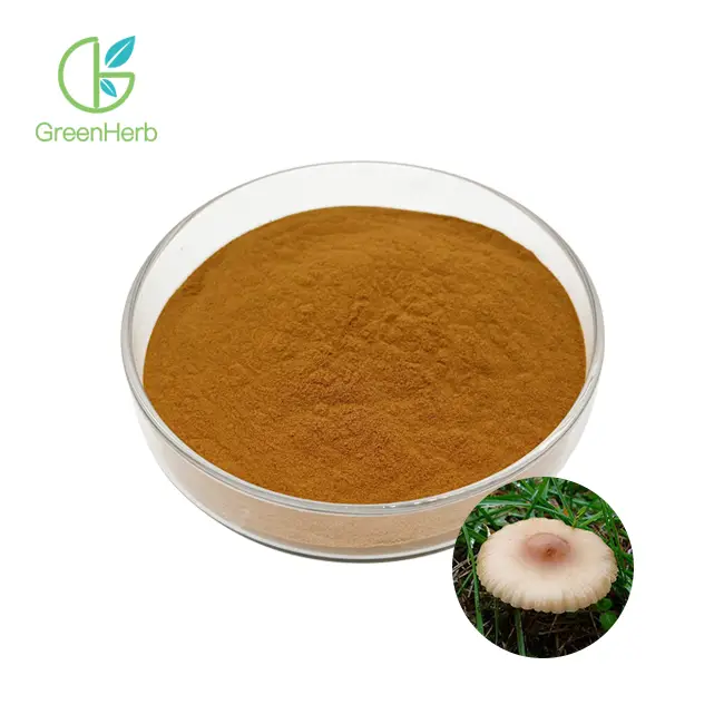 Marasmius Androsaceus Extract